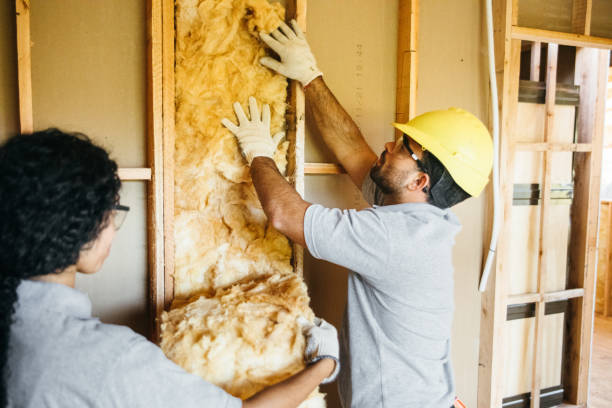 Best Insulation Contractors for Homes  in USA